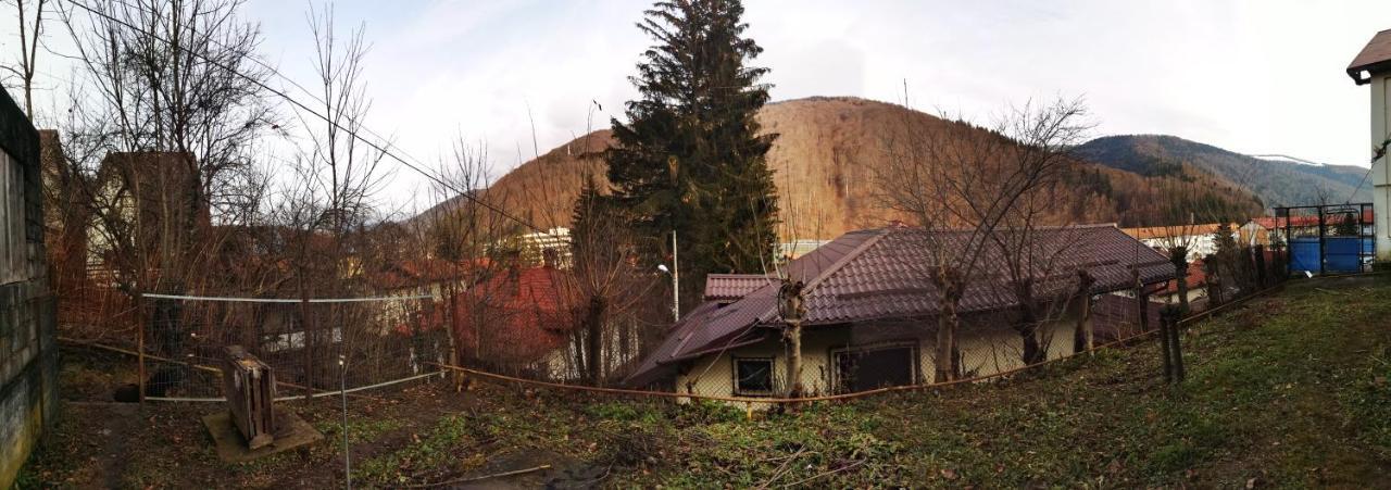 Casa Serban Villa Синая Екстериор снимка